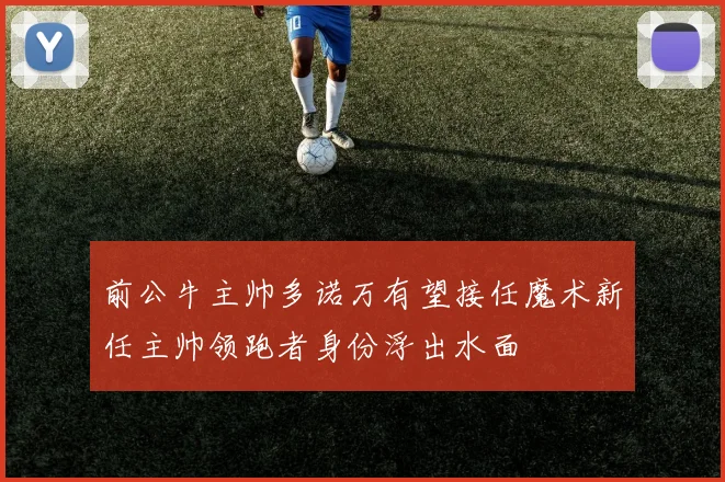 前公牛主帅多诺万有望接任魔术新任主帅领跑者身份浮出水面